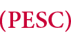 Schriftzug PESC mit Serifen